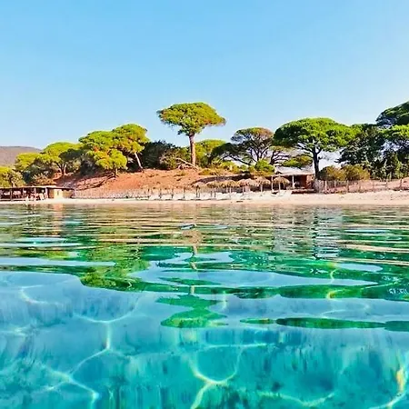 Avec Piscine Proche Palombaggia